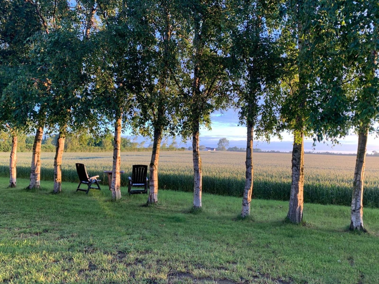 Stunning Romantic Cabin Close To Baltic See Idestrup エクステリア 写真